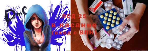 ПСИЛОЦИБИНОВЫЕ ГРИБЫ Абаза