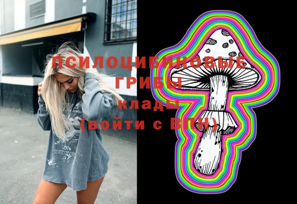 ПСИЛОЦИБИНОВЫЕ ГРИБЫ Абаза