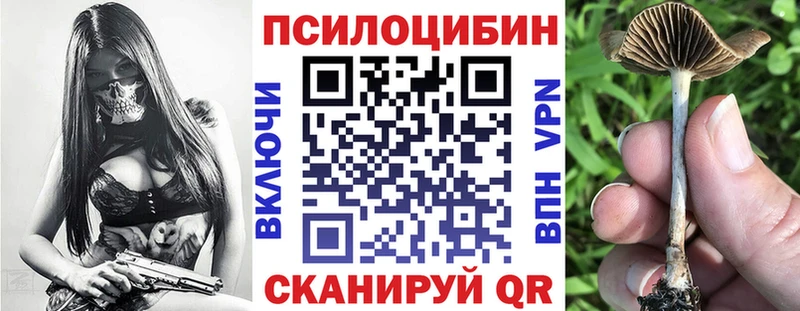 сколько стоит  Нижние Серги  Галлюциногенные грибы Psilocybine cubensis 